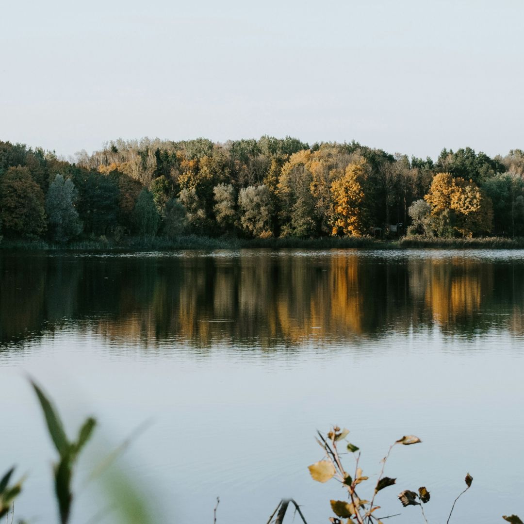 Участок у воды или у леса — в чём разница?