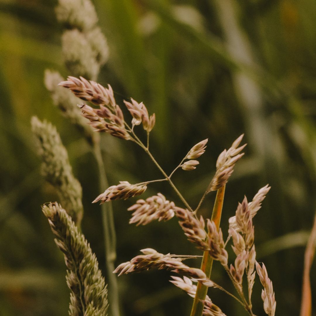 Тренды загородной жизни в 2025 году